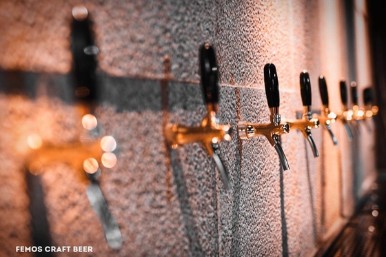 Progetti la birra per il cliente domestica che fa la pianta della fabbrica di birra dell'attrezzatura per la fabbricazione della birra di Walt