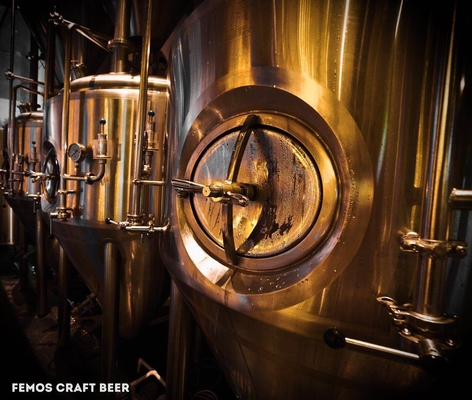 Progetti la birra per il cliente domestica che fa la pianta della fabbrica di birra dell'attrezzatura per la fabbricazione della birra di Walt