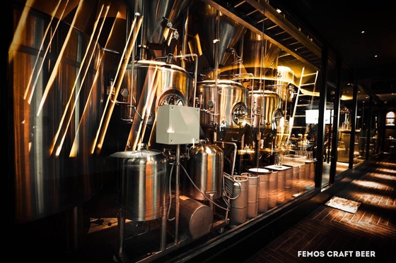 Progetti la birra per il cliente domestica che fa la pianta della fabbrica di birra dell'attrezzatura per la fabbricazione della birra di Walt