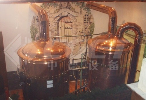 certificazione facente chiavi in mano del CE del sistema della mini micro attrezzatura della fabbrica di birra 500L