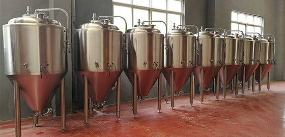 Microbirrificio della birra di Brewpub che imbarila i semi 200L automatico 500L 1000L dell'attrezzatura