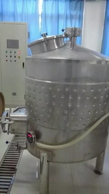 linea di produzione della birra 100L SUS 304 dell'apparecchiatura di collaudo del vino una garanzia da 1 anno