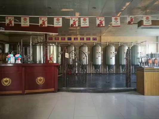 Fermentatore conico 220V/380V degli impianti per la fermentazione ss della birra di microbirrificio del pub