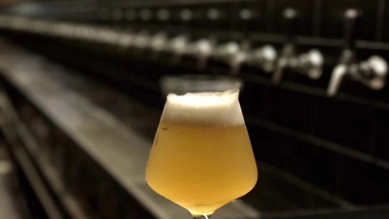 Birra del mestiere del pub che fa monofase del riscaldamento di vapore dell'attrezzatura o fase 3