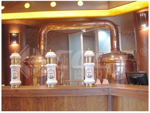 rame rosso 500L che fa la birra domestica dell'attrezzatura che fa corredo una garanzia da 1 anno