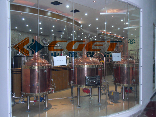 rame rosso 500L che fa la birra domestica dell'attrezzatura che fa corredo una garanzia da 1 anno