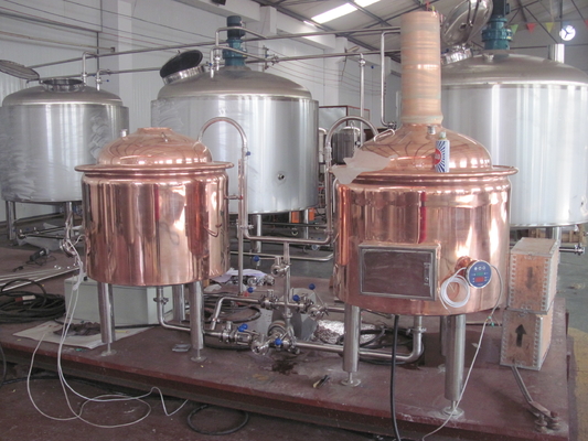rame rosso 500L che fa la birra domestica dell'attrezzatura che fa corredo una garanzia da 1 anno