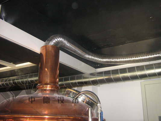 rame rosso di 100l 500l 1000l che fa l'attrezzatura del  , mini birra che fa sistema