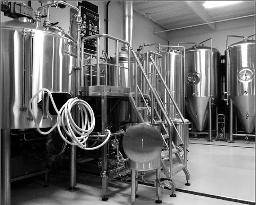Birra luminosa automatica dell'acciaio inossidabile del carro armato della birra dei semi che fa il riscaldamento di vapore del sistema