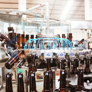 Linea di imbottigliamento della birra della macchina di rifornimento della birra del certificato del CE AC220V o AC380V