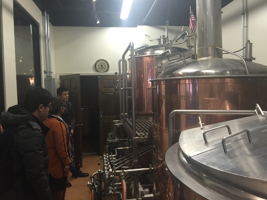 attrezzatura facente commerciale della fabbrica di birra del diretto-fuoco 3.5bbl la piccola ha andato d'accordo un riscaldamento diretto del contenitore 40Hq