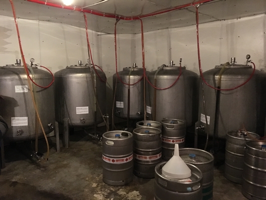 tipo chiavi in mano di verticale dei sistemi di Brewpub dell'attrezzatura di microbirrificio di 500L 1000L SS304