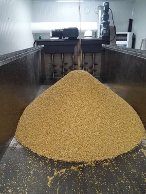 Linea di produzione dell'imballaggio di maltazione con l'immersione del carro armato, germinante stufando scatola