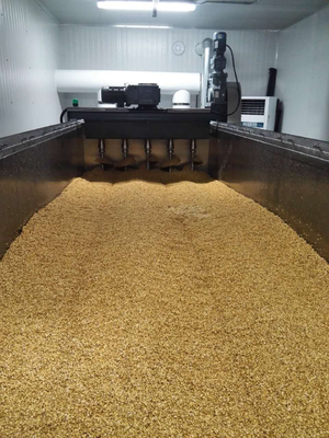 Linea di produzione dell'imballaggio di maltazione con l'immersione del carro armato, germinante stufando scatola