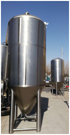 Fermentatore conico 3000L della birra della birra luminosa rivestita verticale del tino di fermentazione