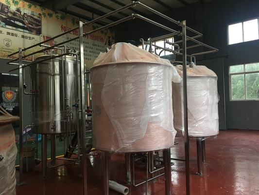 Birra di piccola capacità che fa il fermentatore dell'acciaio inossidabile dei tini di fermentazione del sistema 10Hl