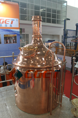 Birra del mestiere di SUS 304 che fa attrezzatura 500L che fa sistema con il CE di iso diplomato per Rusina